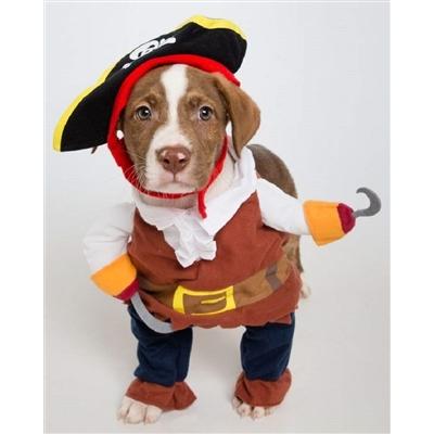 Pet Krewe Pirate Costume With Arms And Hat