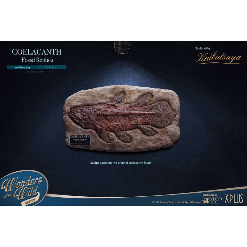 X-Plus Coelacanth 12.5-Inch Hand-Painted Polyresin Replica Fossil Plaque