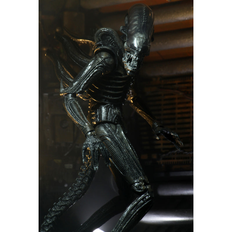 NECA Alien 40th Anniversary Ultimate Big Chap Xenomorph 7 Inch Scale Action  Figure