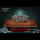 Star Ace X-Plus Dunkleosteus Wonders of the Wild SA5010 16 1/2 Inch Fossil Replica